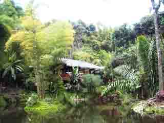  Ecuador:  
 
 Mariposario, Mindo